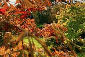 The Gardens at Insole Court